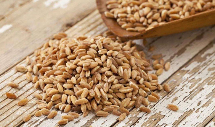 中國允許俄羅斯小麥進(jìn)口