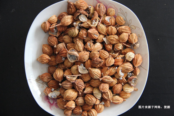 進口澳大利亞豆蔻報關資料