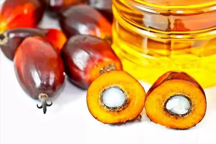 進(jìn)口印尼棕櫚油報(bào)關(guān)流程及費(fèi)用門到門-19年食品報(bào)關(guān)行