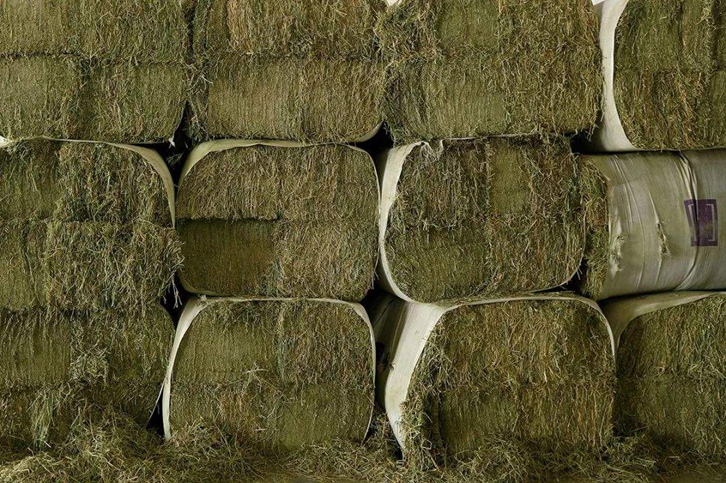 苜蓿草進(jìn)口清關(guān)流程