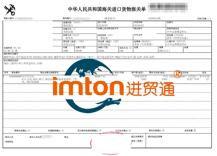 印尼日月貝貝殼進口報關(guān)流程