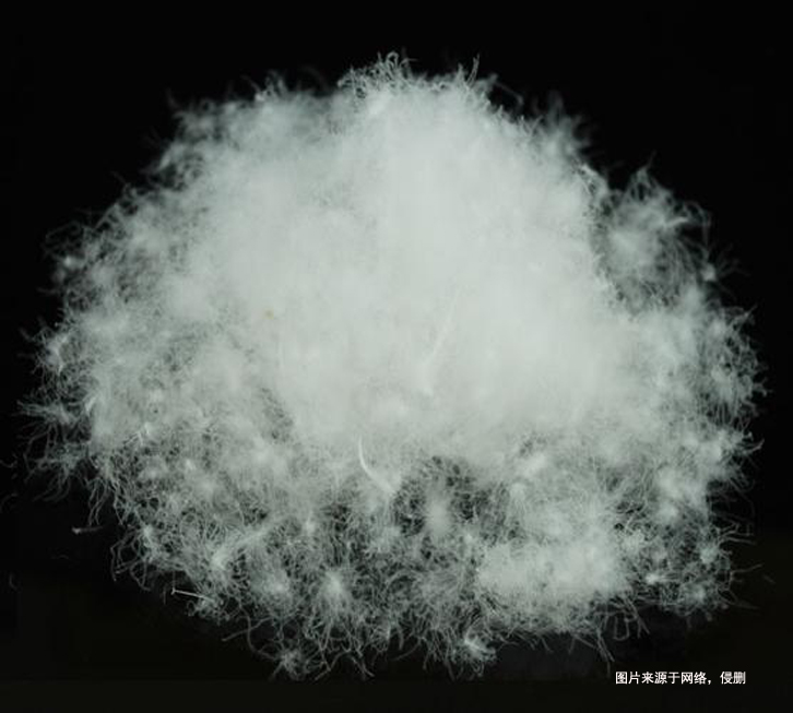 越南水洗羽絨進口報關流程_越南準入水洗羽毛企業