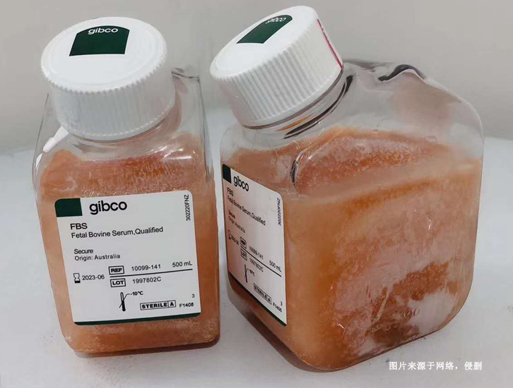 進(jìn)口新西蘭牛血清蛋白報(bào)關(guān)資質(zhì)