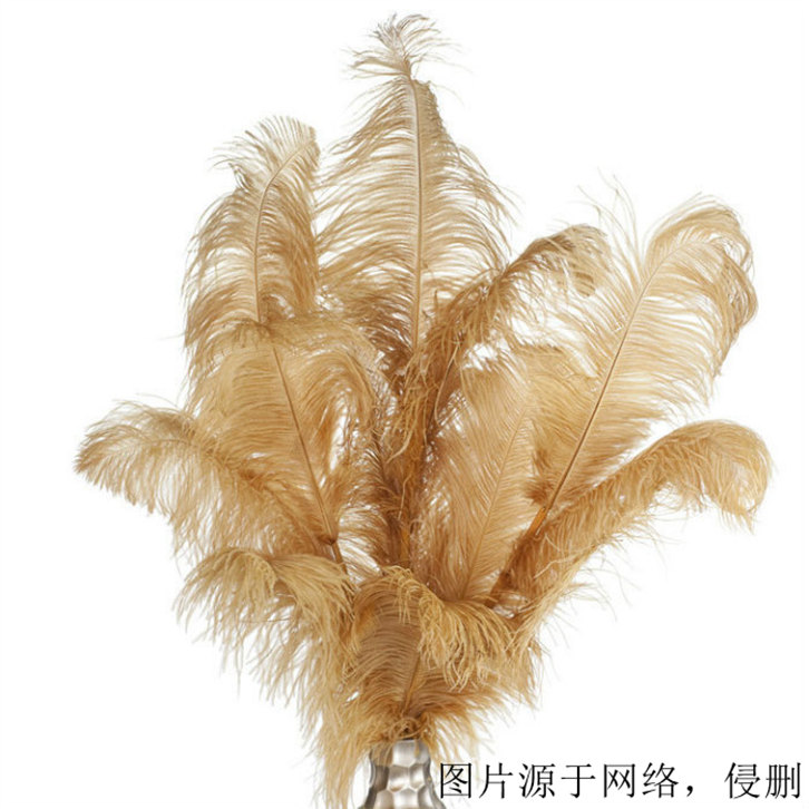 鴕鳥羽毛進口報關資料