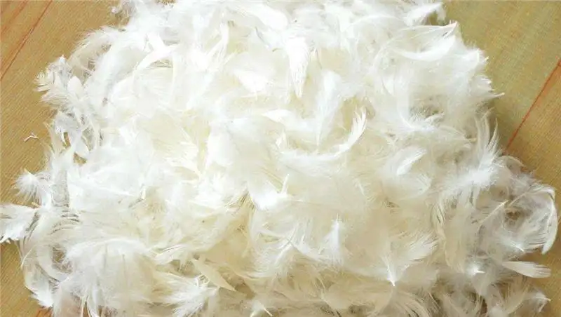 匈牙利羽絨鴨毛進口報關資料_火雞毛、羊毛清關流程