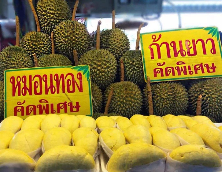 青島進口泰國榴蓮報關資料