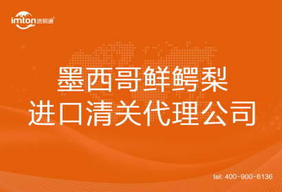 墨西哥鮮鱷梨進口清關代理公司