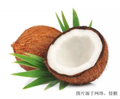 進口椰子怎么清關？斯里蘭卡干椰子進口報關流程