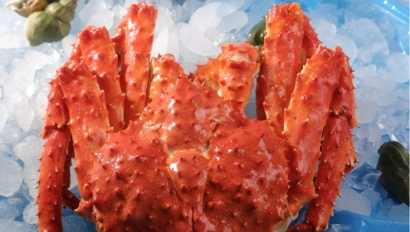 上海進口挪威帝王蟹報關資料7步_螃蟹清關流程