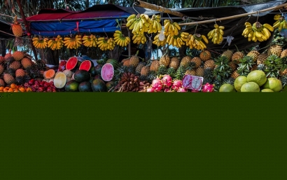 泰國水果進口清關一站式所需了解的流程以及關稅