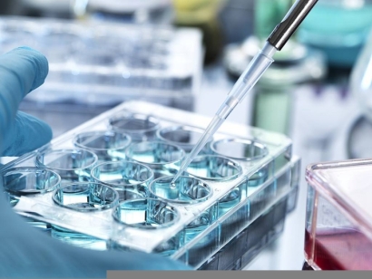 青島科研生物細胞進口報關費用及申報注意事項