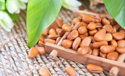 進口阿富汗松子清關(guān)代理公司告訴你進口松子的要求