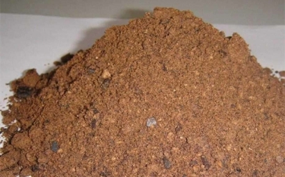 棕櫚粕進口報關所需資料一覽，了解一下