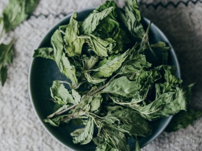 進(jìn)口美國(guó)干薄荷葉清關(guān)流程以及調(diào)味料進(jìn)口報(bào)關(guān)資質(zhì)