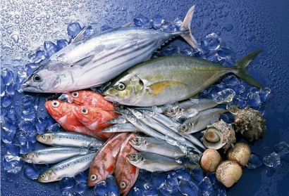 水產(chǎn)品進(jìn)口清關(guān)所需資料流程_越南沙丁魚報關(guān)代理