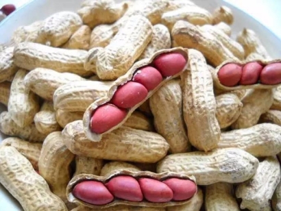 花生進口清關(guān)代理需要的資質(zhì)以及資料