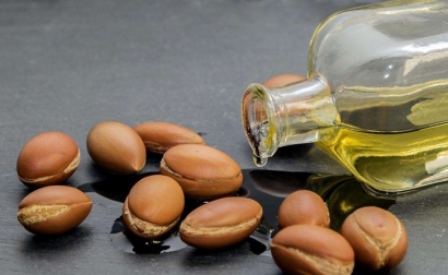 摩洛哥阿甘油進口報關(guān)手續(xù)流程及費用一站式