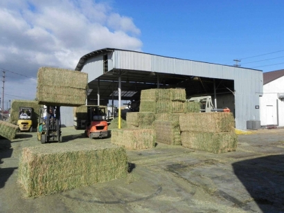 天津苜蓿草進(jìn)口報(bào)關(guān)公司：苜蓿草進(jìn)口資質(zhì)資料