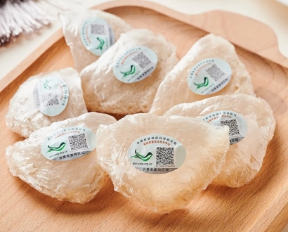 印尼燕窩進口清關(guān)公司怎么操作燕窩進口報關(guān)