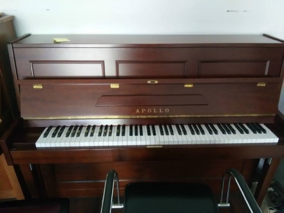 鋼琴進口報關代理2-3天完成，誰人不動心