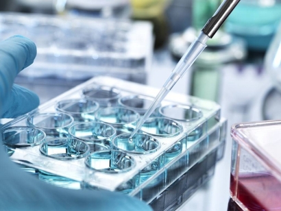 青島科研生物細胞進口報關費用及申報注意事項