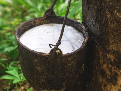 在大連橡膠進口清關流程怎么樣？越南橡膠進口關稅