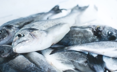 冷凍魚進口報關注意事項有這些，參考一下