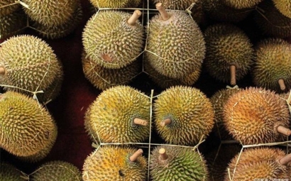 進(jìn)口泰國榴蓮報(bào)關(guān)提前準(zhǔn)備好這些資料，一點(diǎn)都不難