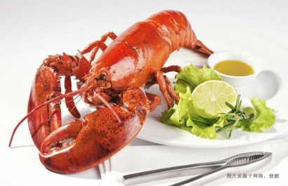 墨西哥龍蝦進口報關資料這8樣-19年水產品報關行