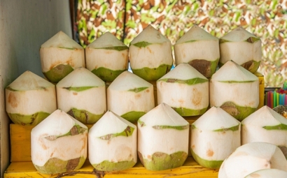 泰國椰青進(jìn)口報(bào)關(guān)的流程有這些