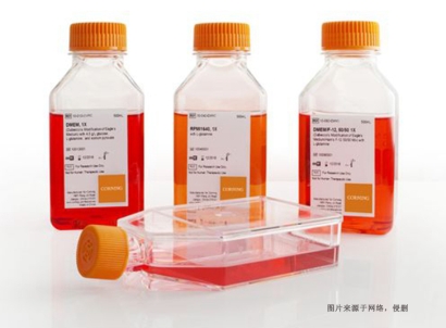 美國細胞培養(yǎng)試劑進口報關(guān)費用_生物試劑特殊物品申報