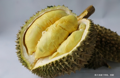 廣州進(jìn)口泰國榴蓮清關(guān)費用_泰國榴蓮進(jìn)口關(guān)稅多少