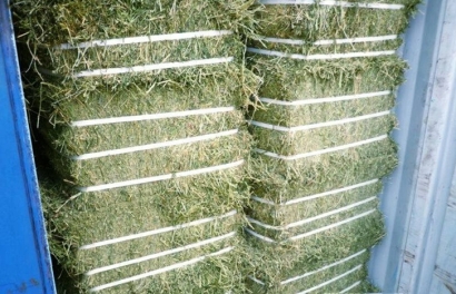 加拿大梯牧草進(jìn)口報關(guān)流程_準(zhǔn)入植物源性飼料種類