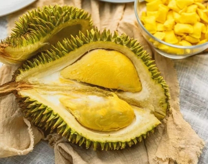 上海進口泰國榴蓮清關流程門到門_林查班海運專線