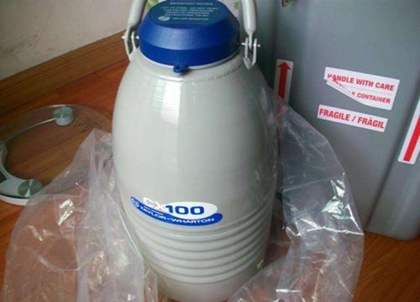 美國(guó)液氮罐進(jìn)口清關(guān)案例分享，急客戶所急