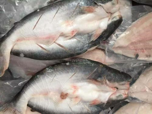 1571276651854897.jpg 越南巴沙魚進(jìn)口報(bào)關(guān)代理