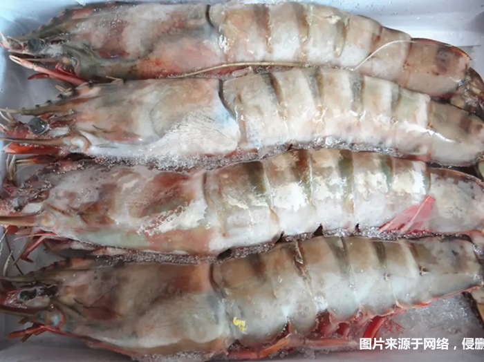 1674901367807640.jpg 冷凍去頭明對蝦進口報關(guān)_副本.jpg