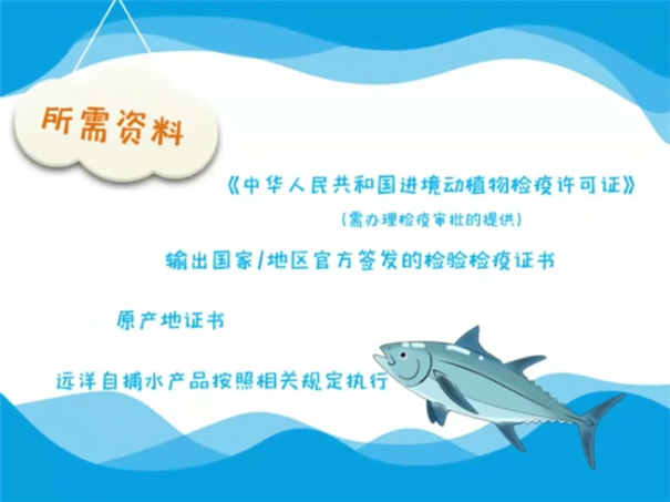 1614941980549288.png 進口食品報關