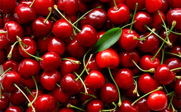 智利進(jìn)口車?yán)遄忧尻P(guān)超詳細(xì)清關(guān)資料以及流程 智利進(jìn)口車?yán)遄忧尻P(guān)