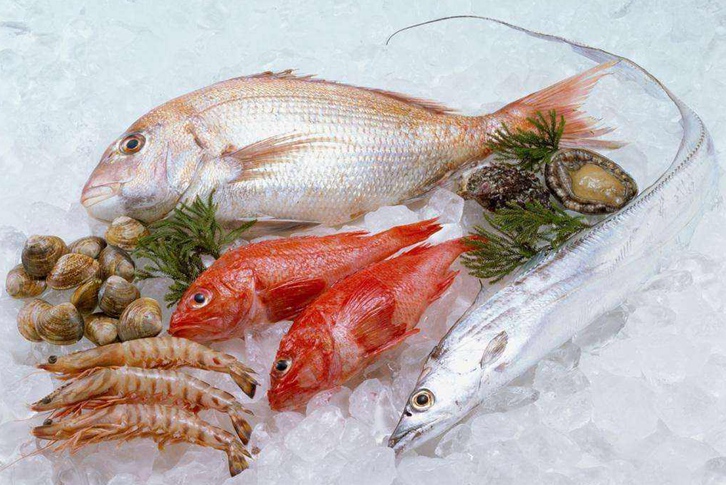 越南冷凍魚進(jìn)口清關(guān)資料 越南冷凍魚進(jìn)口清關(guān)資料